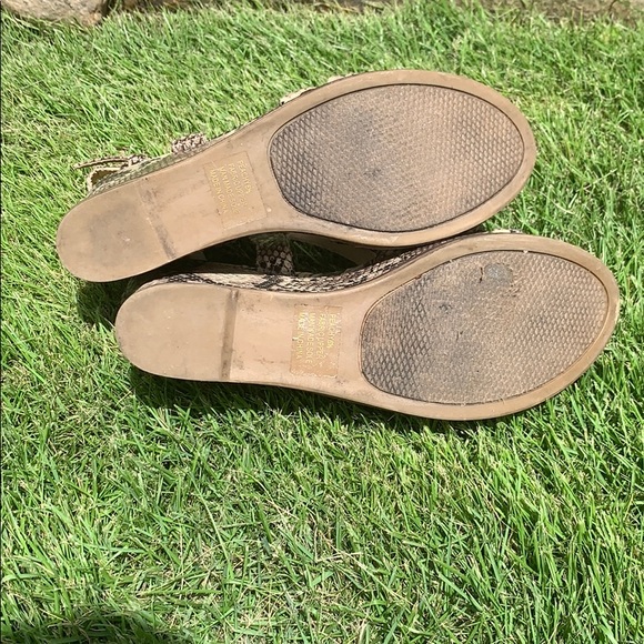 Zigi Soho python print wedges - Picture 5 of 5